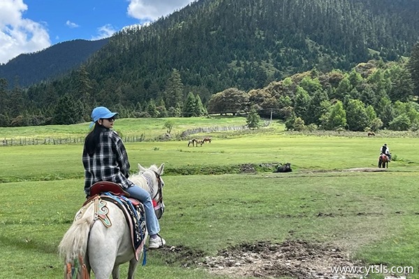 沈陽去西藏旅游團(tuán)價格