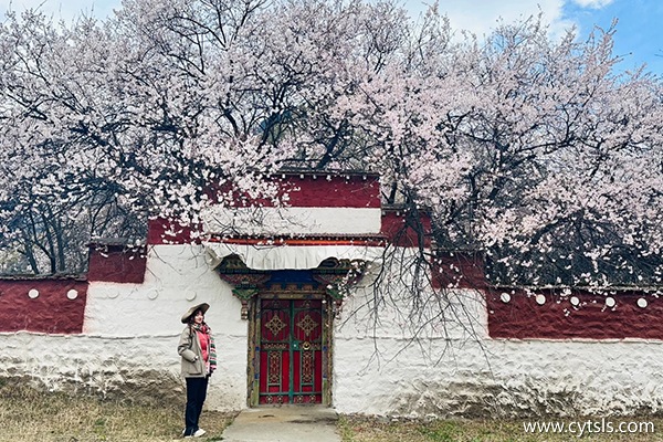 3月拉薩到林芝跟團(tuán)游多少錢(qián)